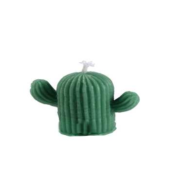 Small Cactus Candle