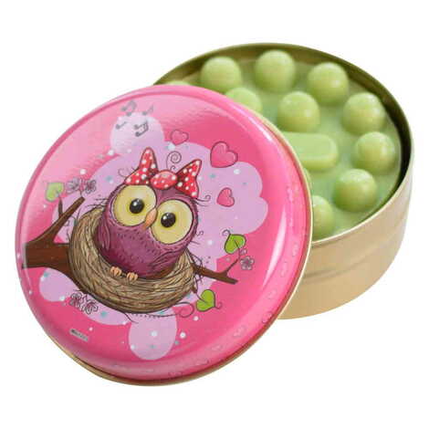 Owl Themed Custom Print Metal Tin Soap Box