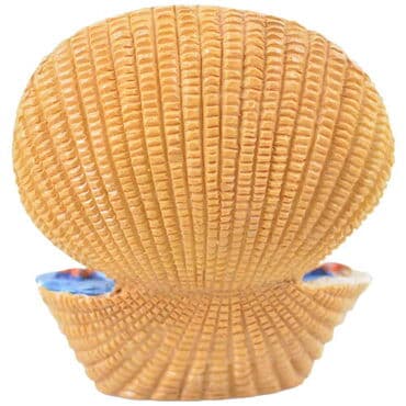 Wholesale Istanbul Oyster Shell 45mm - Standart - 4
