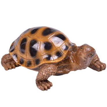 Myros - Polyester Turtle Figurine Medium Size