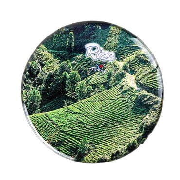 Rize Themed Epoxy Dome Round Souvenir Fridge Magnet 67 mm - 6