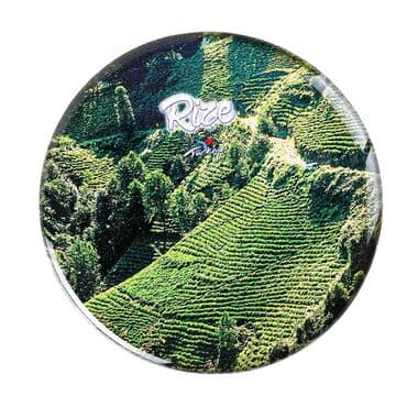 Rize Themed Epoxy Dome Round Souvenir Fridge Magnet 67 mm - 15