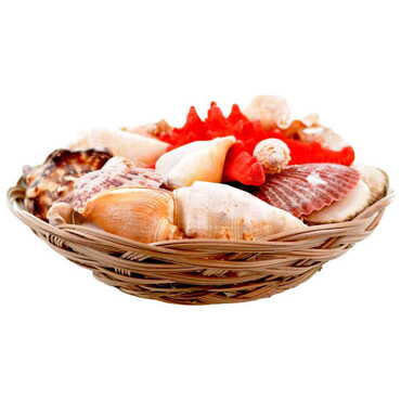 Sea Shell Cart Desktop Decor 280 Mm - Thumbnail