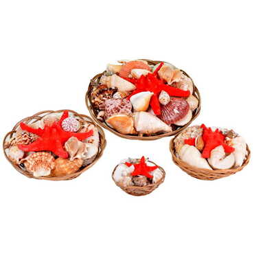 Sea Shell Cart Desktop Decor 280 Mm - Thumbnail