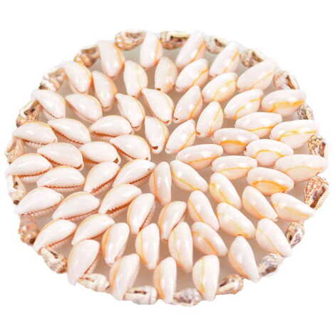 Sea Shell Coaster 110 Mm