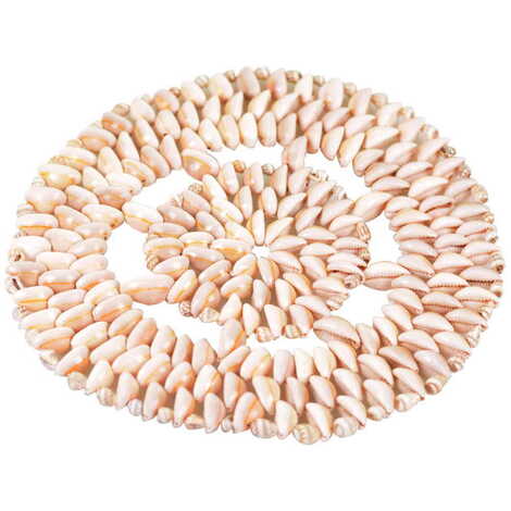 Sea Shell Coaster 200 Mm