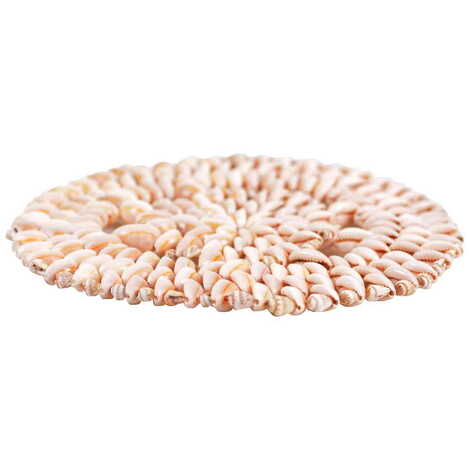 Sea Shell Coaster 200 Mm