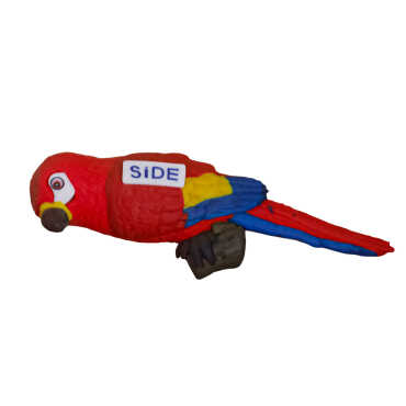 Side Temalı Papağan Fimo Magnet - Myros