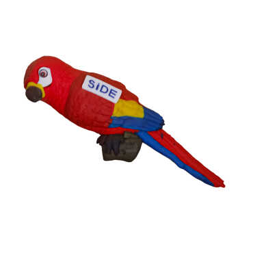 Side Temalı Papağan Fimo Magnet - 6