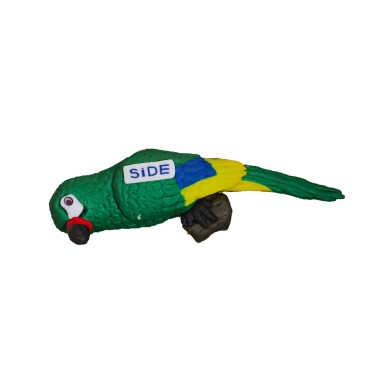 Side Temalı Papağan Fimo Magnet - 3