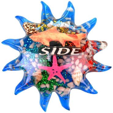 Side Themed Transparent Polyester Photo Fridge Magnet - 29