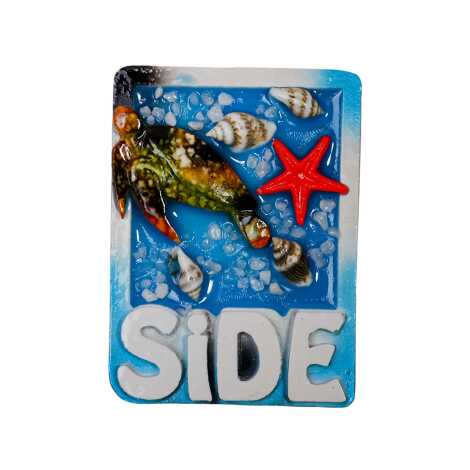Side Temalı Şeffaf Polyester Tabak Magnet - 11