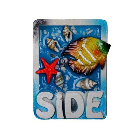 Side Temalı Şeffaf Polyester Tabak Magnet - 14