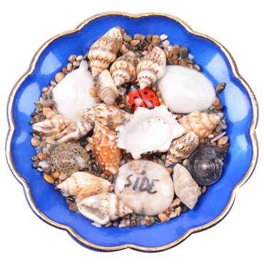 Myros - Side Themed Customised Sea Shell Plate Magnet 73 Mm