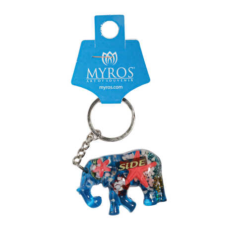 Side Themed Customised Transparent Polyester Keyring - 13