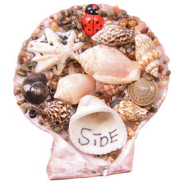 Myros - Side Themed Sea Shell Souvenir Fridge Magnet