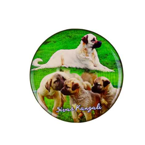 Sivas Temalı Myros Yuvarlak Magnet 67 mm - 5