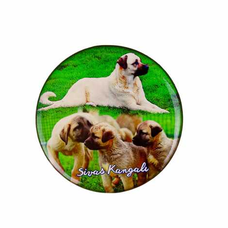 Sivas Temalı Myros Yuvarlak Magnet 67 mm - 8