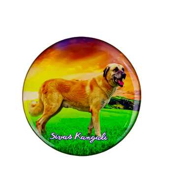 Sivas Temalı Myros Yuvarlak Magnet 67 mm - 9