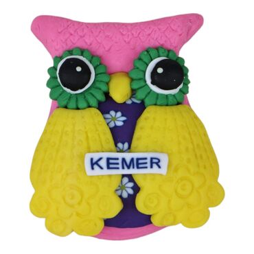 Wholesale Parrot Fimo Refrigerator Magnet with Kemer Themed - 2