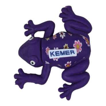 Wholesale Parrot Fimo Refrigerator Magnet with Kemer Themed - 5