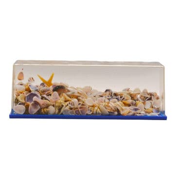 Wholesale Rectangular Acrylic Seashell Refrigerator Magnet