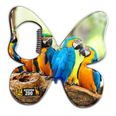 Zoo Themed Butterfly Shaped Metal Magnetic Bottle Opener 70x70 mm - Thumbnail