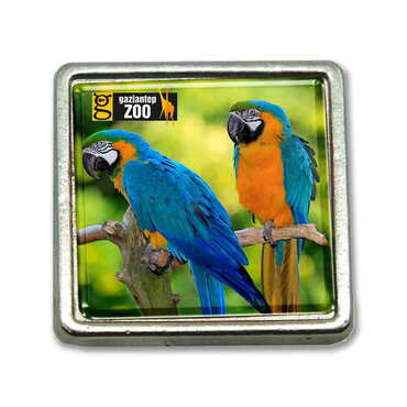 Myros - Zoo Themed Collectible Souvenir Metal Square Pin 18x18 mm