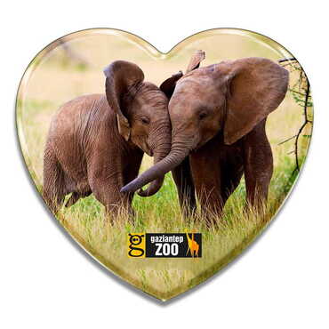 Myros - Zoo Themed Epoxy Dome Heart Souvenir Fridge Magnet 65x60 mm