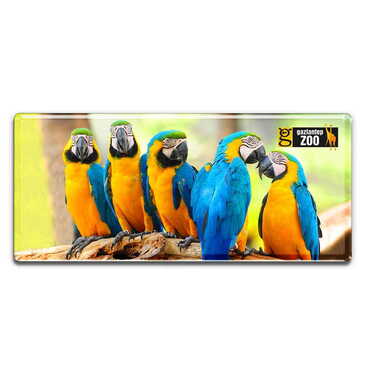 Zoo Themed Epoxy Dome Mini Panoramic Souvenir Fridge Magnet 85x35 mm - Myros