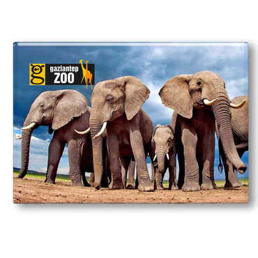 Myros - Zoo Themed Epoxy Dome Rectangle Souvenir Fridge Magnet 80x55 mm