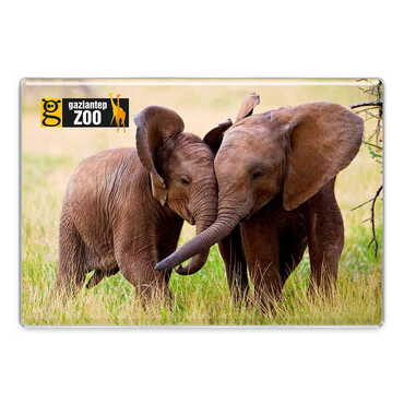 Zoo Themed Epoxy Dome Rectangular Souvenir Fridge Magnet 95x65 mm - Myros