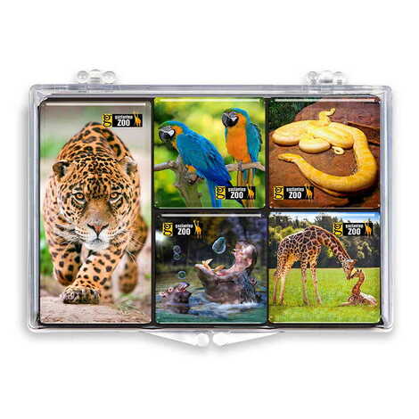 Zoo Themed Epoxy Dome Souvenir Fridge Magnet Set of 5 pcs - 1
