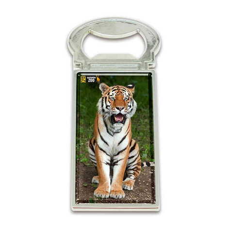Zoo Themed Metal Rectangle Magnetic Opener 33x90 mm - 1