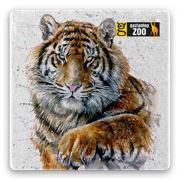 Myros - Zoo Themed Stone Square Souvenir Fridge Magnet 50x50 mm